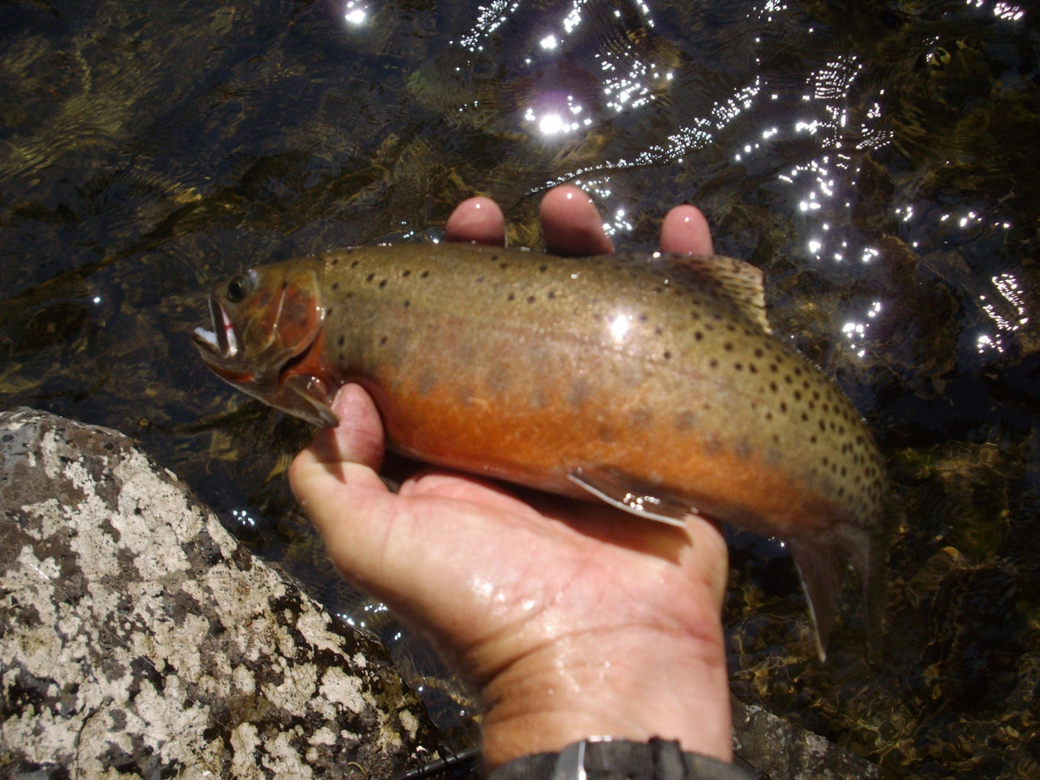 Go West: Tips for Planning an Epic Outdoor Adventure