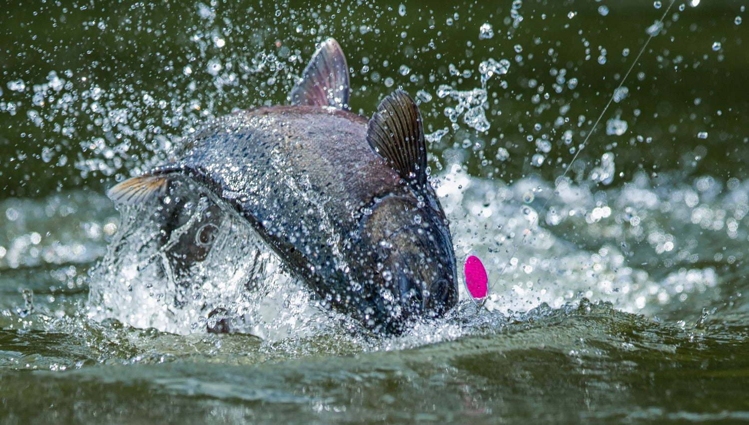 A Deeper Look at Fishing in Alaska