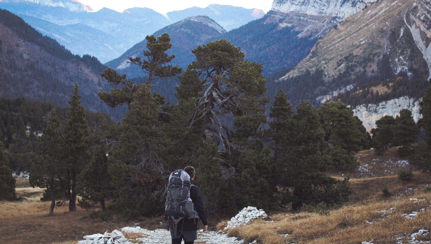 5 Things You Need to Survive in the Wild