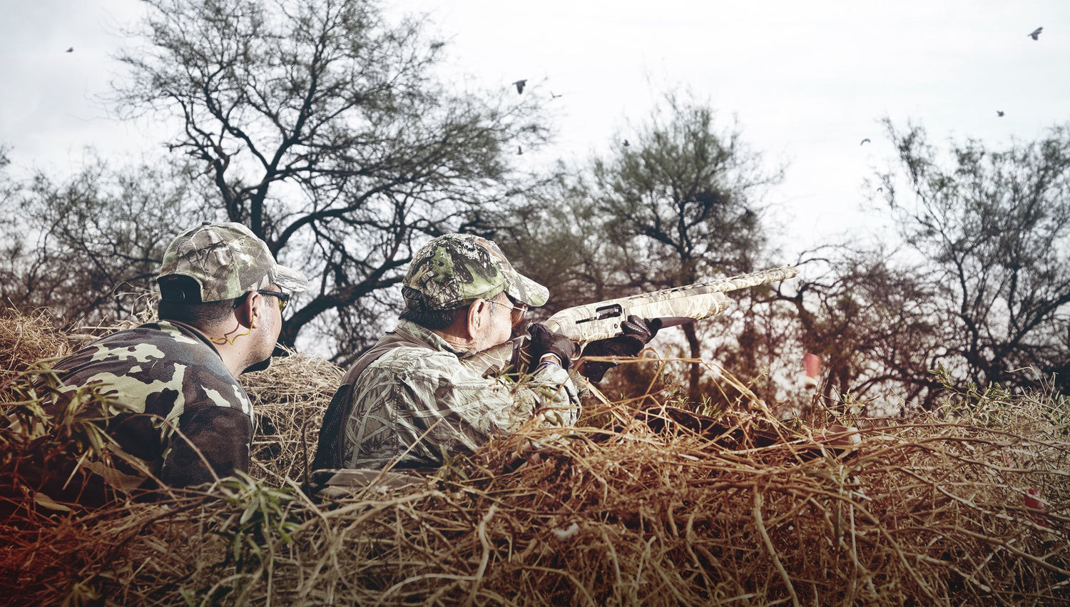 Five Must-Know Tips for Dove Season