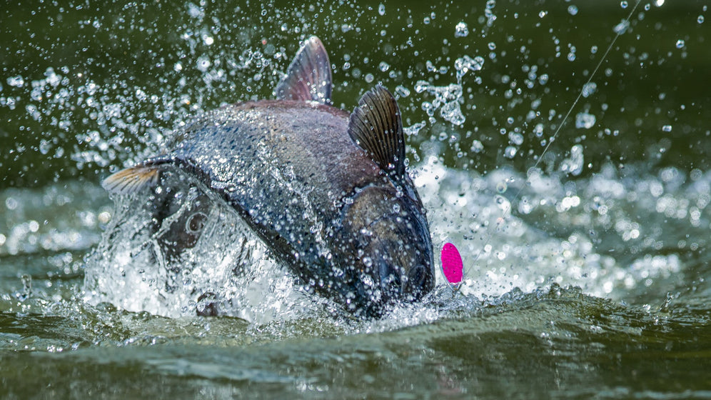 A Deeper Look at Fishing in Alaska