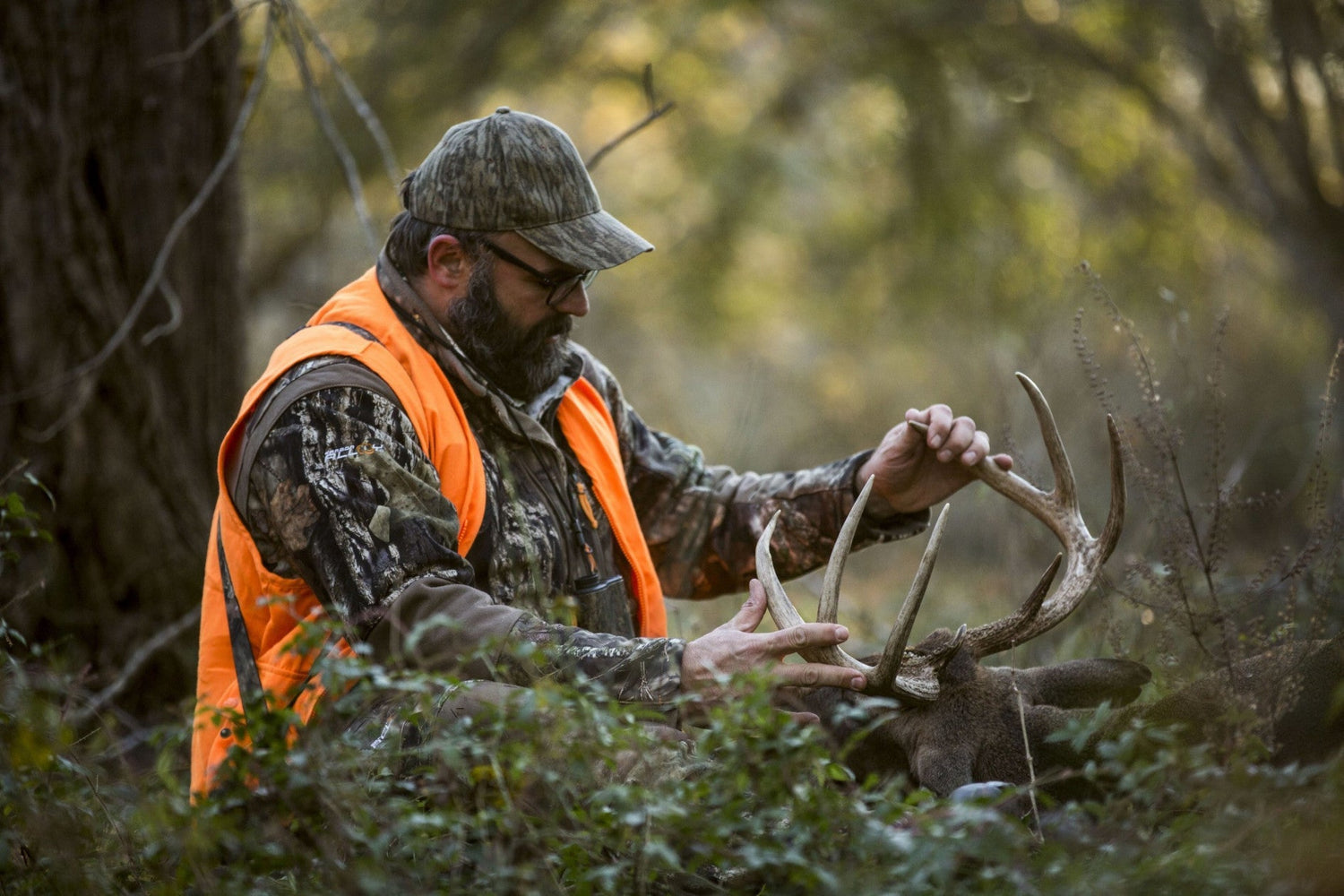 Diet is More Important than Genes for Big Bucks