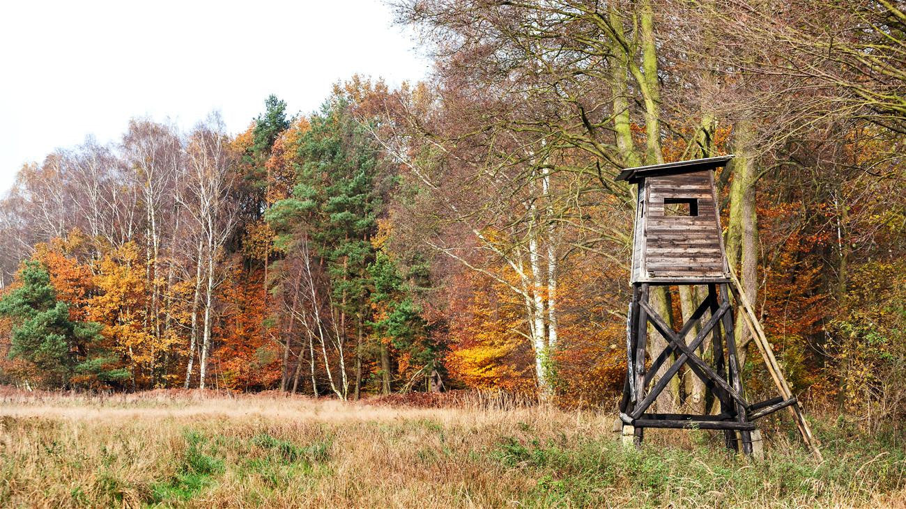 5 Ways to Get Ready for Deer Season